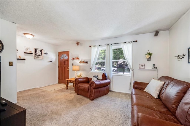 300 NE R D Mize Rd, Blue Springs, MO 64014 - living area with light colored carpet and a textured ceiling