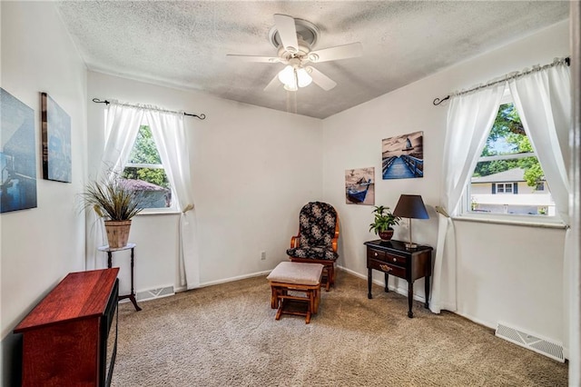 300 NE R D Mize Rd, Blue Springs, MO 64014 - living area with ceiling fan, carpet floors, and a textured ceiling