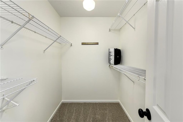 18680 W 159th Ter, Olathe, KS 66062 - photo 25