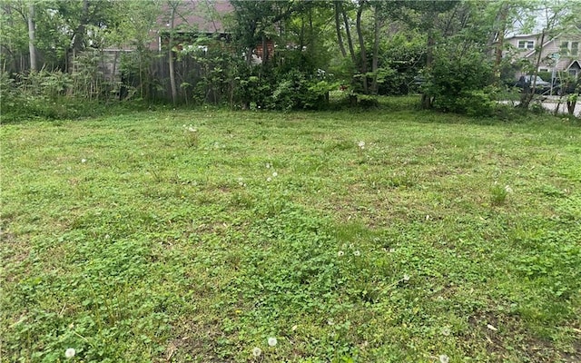 300 W Sea Ave, Independence, MO 64050 - view of yard