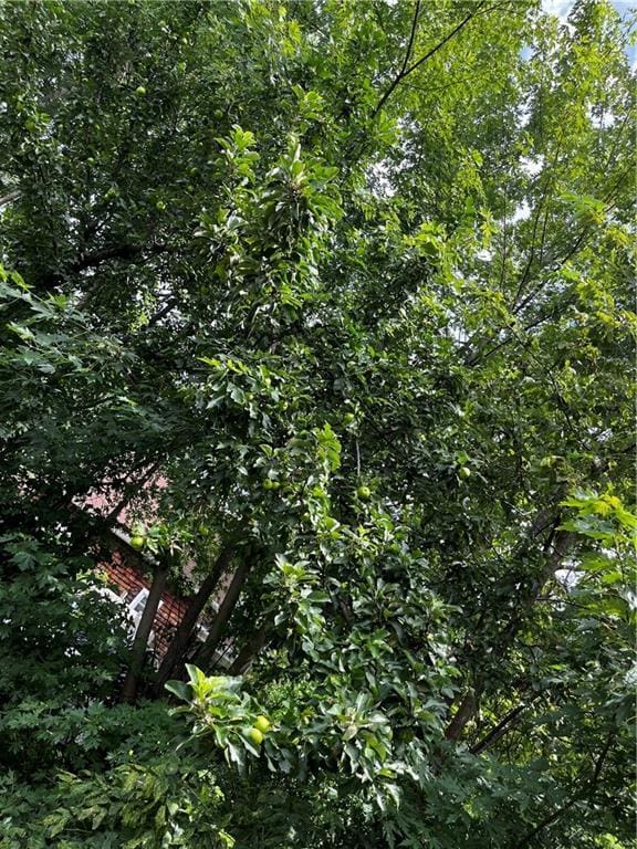 300 W Sea Ave, Independence, MO 64050 - view of undeveloped land