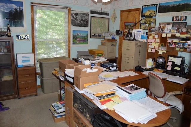 13655 S Sycamore St, Olathe, KS 66062 - office featuring a ceiling fan and carpet floors