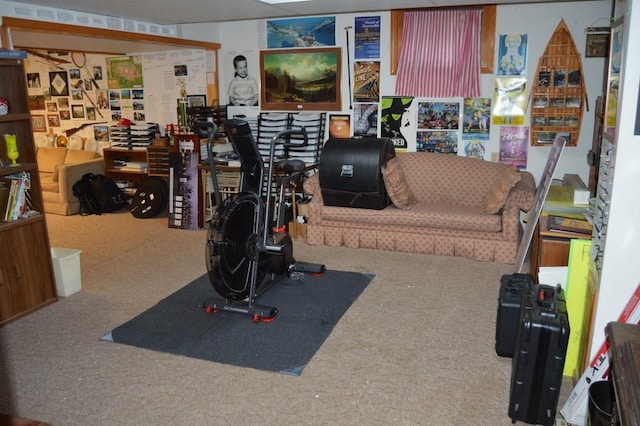 13655 S Sycamore St, Olathe, KS 66062 - exercise room featuring carpet