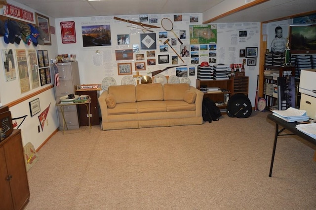 13655 S Sycamore St, Olathe, KS 66062 - view of carpeted living area