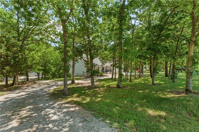 1684 Quarry Rd, Bates City, MO 64011 - surrounding community with a lawn