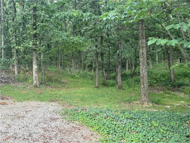 1684 Quarry Rd, Bates City, MO 64011 - view of woods