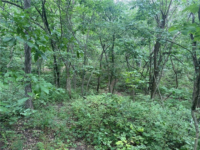 1684 Quarry Rd, Bates City, MO 64011 - view of wooded area