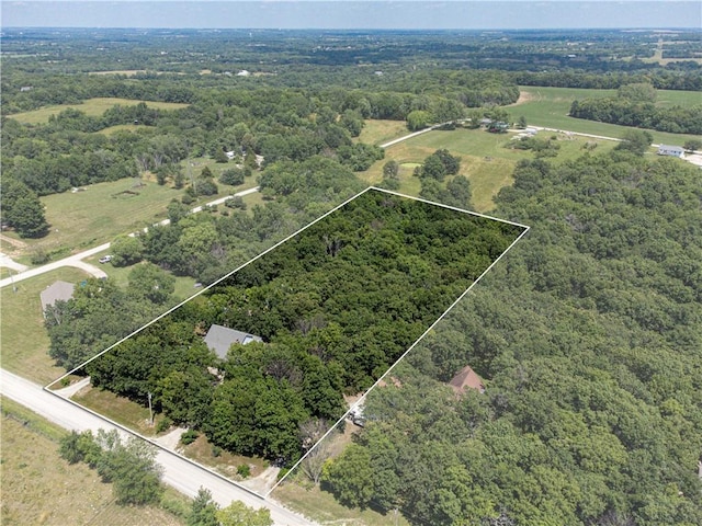 1684 Quarry Rd, Bates City, MO 64011 - view of property location with property boundaries highlighted and a forest
