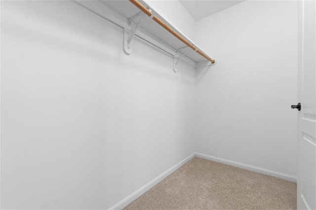 5329 Park St, Shawnee, KS 66216 - walk in closet featuring light carpet