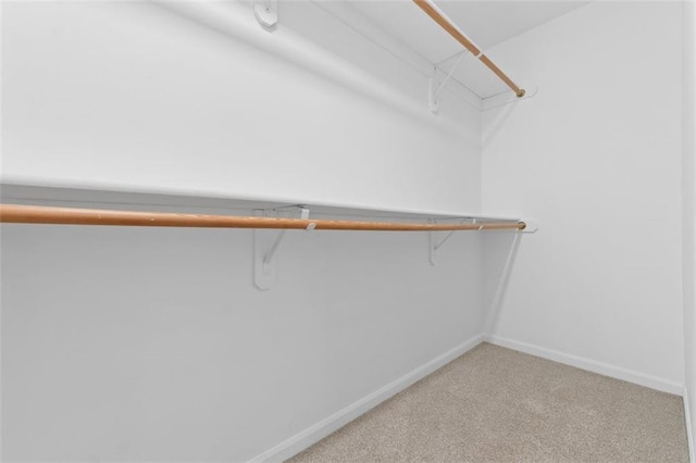 5329 Park St, Shawnee, KS 66216 - walk in closet with light carpet
