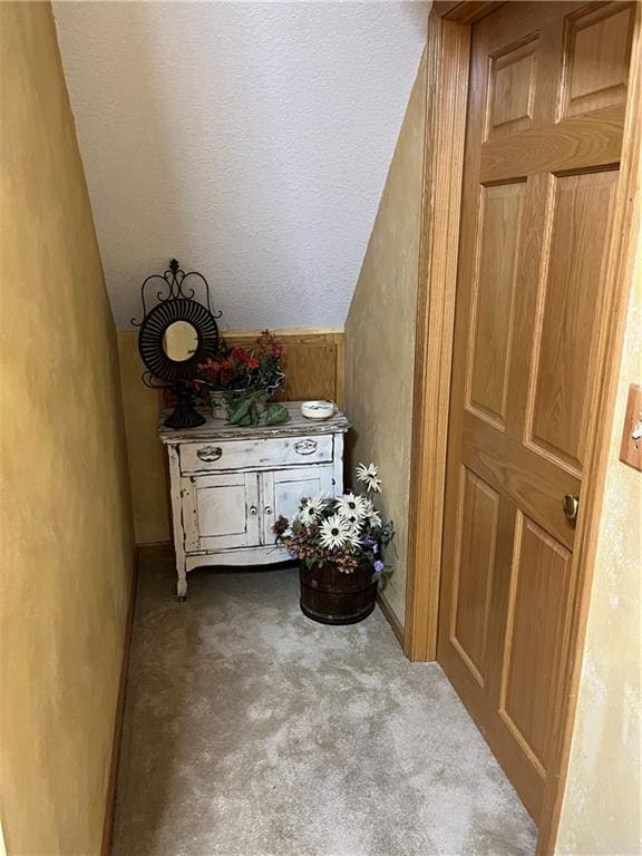 15733 Pine Cir, Basehor, KS 66007 - corridor with carpet flooring and lofted ceiling