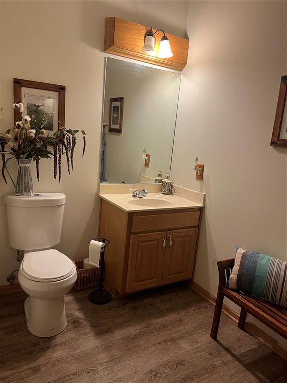 15733 Pine Cir, Basehor, KS 66007 - bathroom featuring wood finished floors and vanity