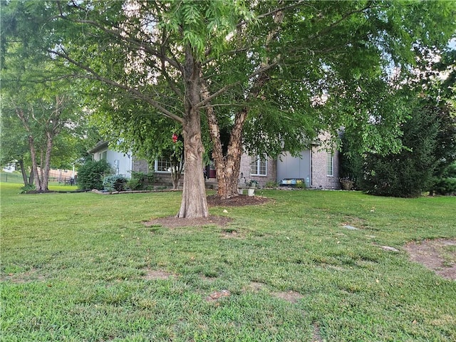 15733 Pine Cir, Basehor, KS 66007 - view of grassy yard