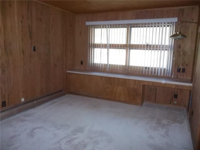 201 S Larson Ave, Chanute, KS 66720 - unfurnished room with light carpet and wood walls