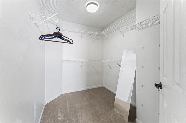 1103 N 2nd St E, Louisburg, KS 66053 - spacious closet featuring carpet floors