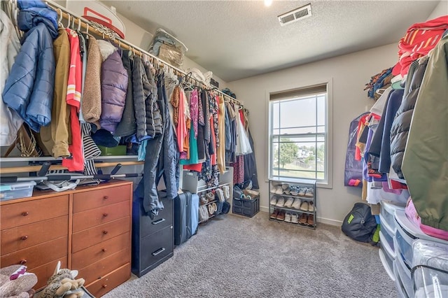 23317 W 52nd Ter, Shawnee, KS 66226 - walk in closet with carpet flooring