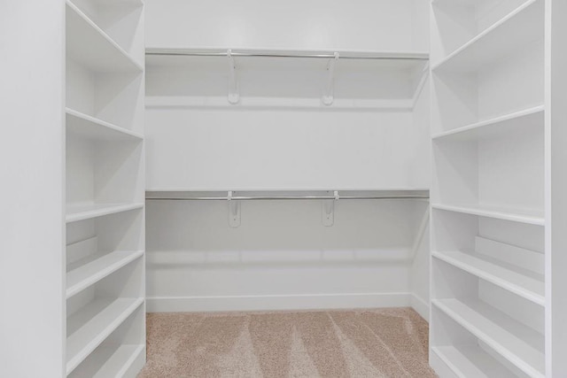 16567 W 170th St, Olathe, KS 66062 - walk in closet featuring carpet flooring