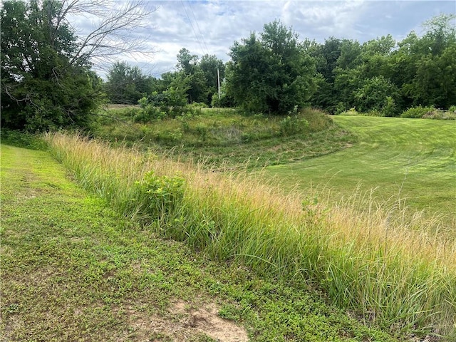 36987 W 63rd St, Camden, MO 64017 - view of local wilderness