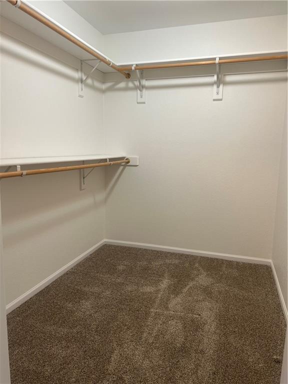 36987 W 63rd St, Camden, MO 64017 - walk in closet with carpet