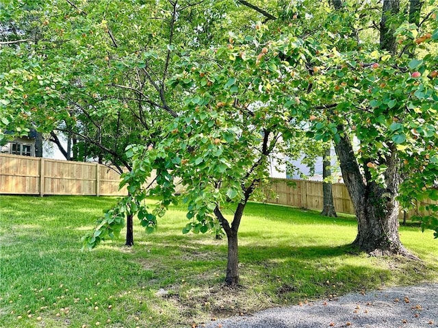 501 Washington St, Trenton, MO 64683 - photo 25