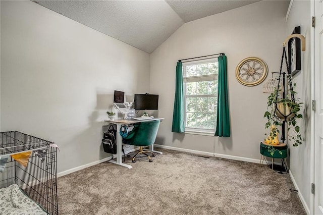 5323 Kenton St, Shawnee, KS 66226 - office space featuring carpet, lofted ceiling, and a textured ceiling