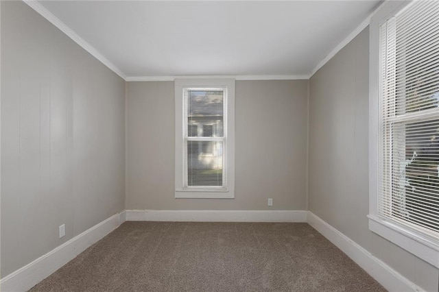 816 Chestnut St, Osawatomie, KS 66064 - spare room with carpet flooring and crown molding