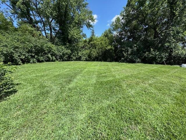 477 Shawnee Rd, Kansas City, KS 66103 - view of green lawn