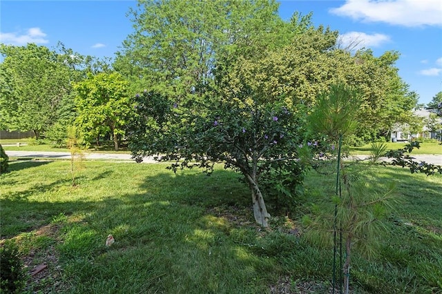 1623 W 3rd St, Lawrence, KS 66044 - photo 37