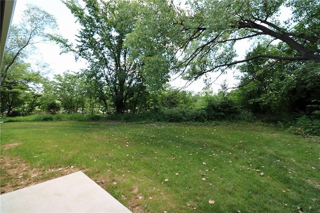 901 School Rd, Peculiar, MO 64078 - view of grassy yard featuring a patio area