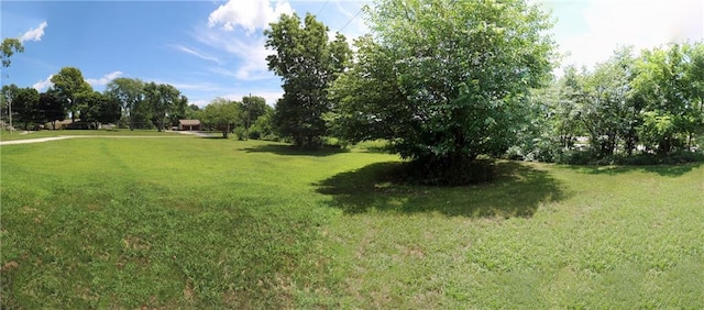 901 School Rd, Peculiar, MO 64078 - view of green lawn with view of wooded area