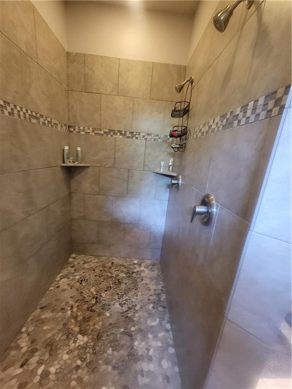 22908 E 41st Ter S, Blue Springs, MO 64015 - full bathroom featuring a tile shower