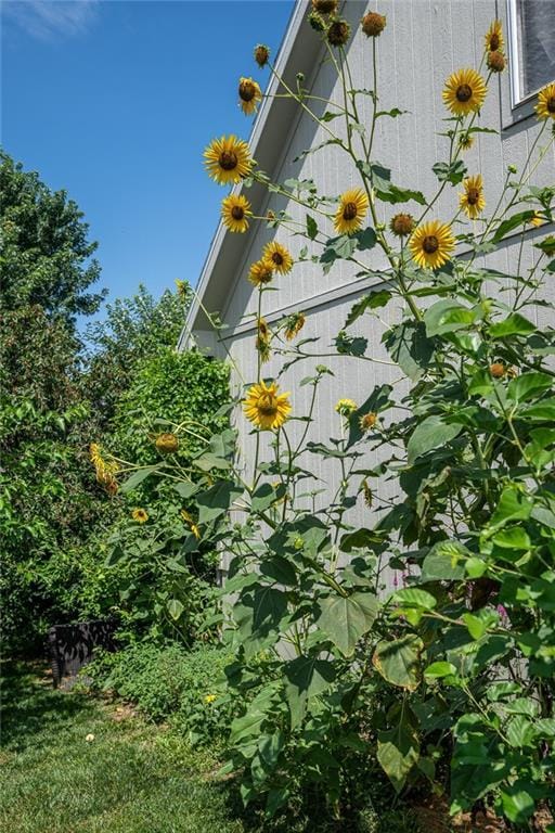606 Briar Ln, Kearney, MO 64060 - photo 73