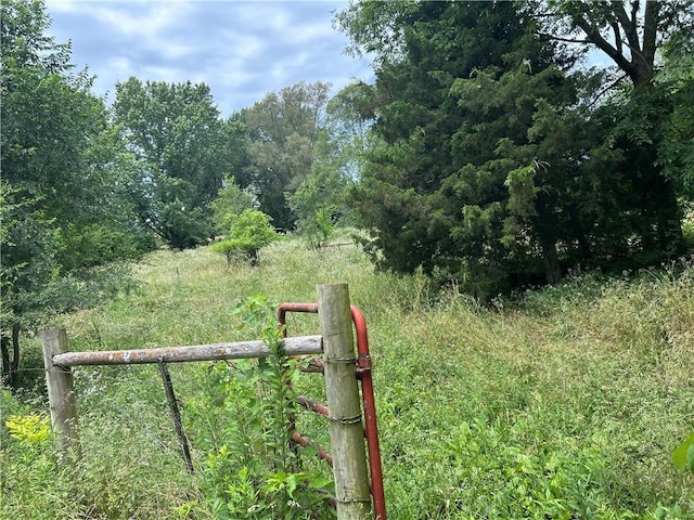 34908 E Shores Rd, Lone Jack, MO 64070 - view of yard