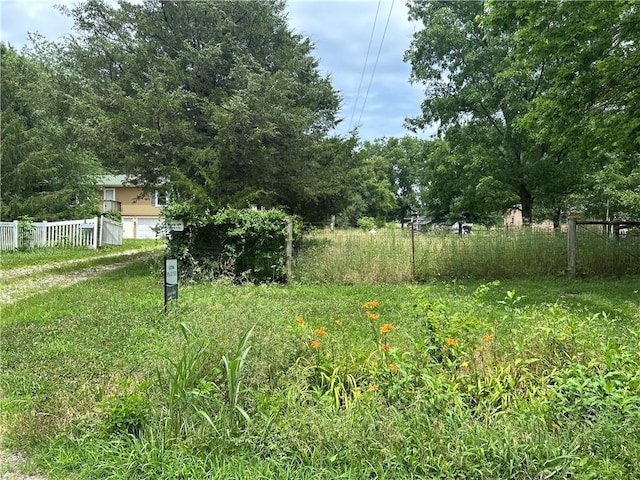 34908 E Shores Rd, Lone Jack, MO 64070 - view of yard