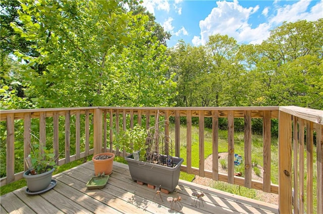 6316 N Wheeling Ave, Kansas City, MO 64119 - photo 37