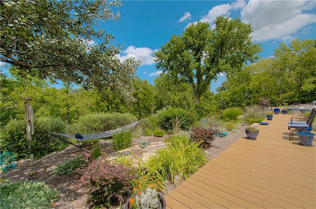 6316 N Wheeling Ave, Kansas City, MO 64119 - photo 41