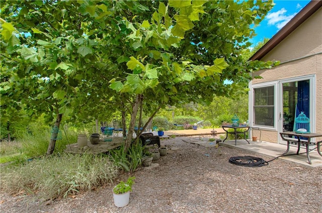 6316 N Wheeling Ave, Kansas City, MO 64119 - photo 45