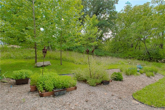 6316 N Wheeling Ave, Kansas City, MO 64119 - photo 46