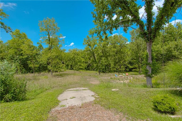 6316 N Wheeling Ave, Kansas City, MO 64119 - photo 55