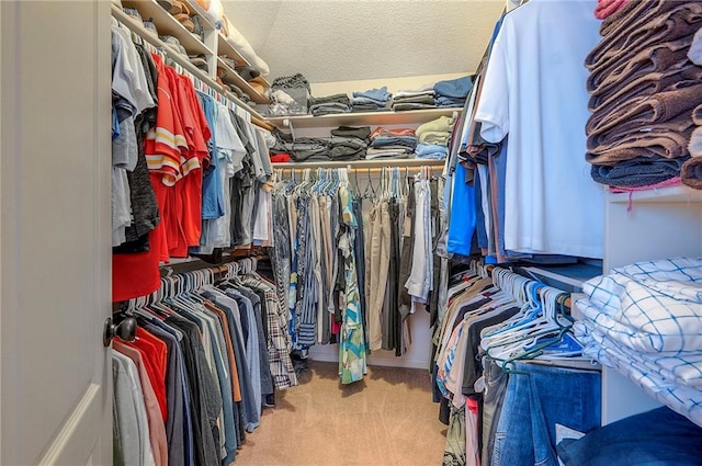 1105 Blazing Star Dr, Lees Summit, MO 64081 - walk in closet featuring carpet floors