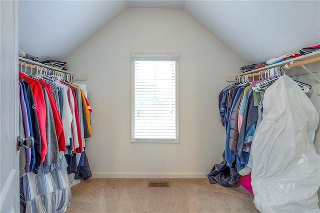 1105 Blazing Star Dr, Lees Summit, MO 64081 - walk in closet with carpet flooring and lofted ceiling
