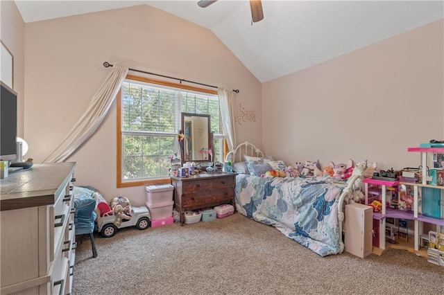 2728 Bishop St, Lawrence, KS 66046 - photo 25