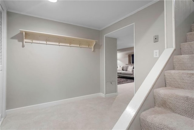 7710 Noland Rd, Lenexa, KS 66216 - mudroom with light carpet and crown molding
