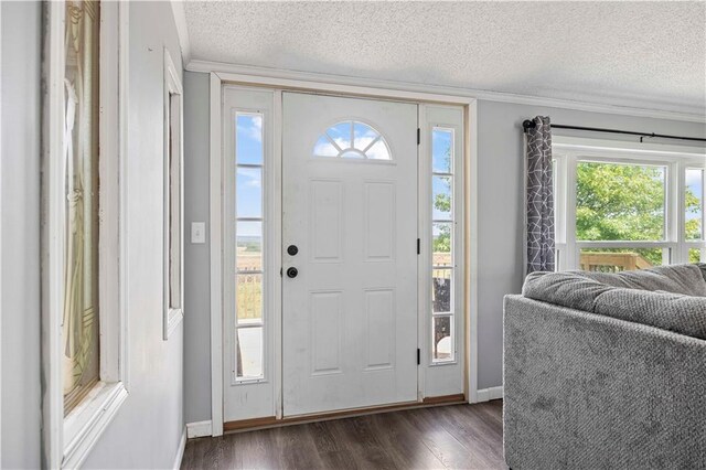 679 Kingman Rd, Pomona, KS 66076 - foyer featuring a textured ceiling, ornamental molding, dark wood-type flooring, and plenty of natural light