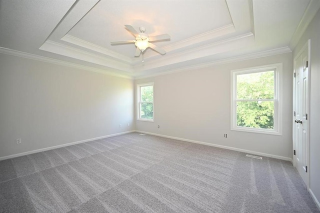 12905 Ridgeview Dr, Platte City, MO 64079 - spare room with a raised ceiling, ornamental molding, ceiling fan, and carpet floors