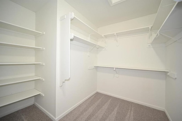 12905 Ridgeview Dr, Platte City, MO 64079 - walk in closet featuring carpet floors