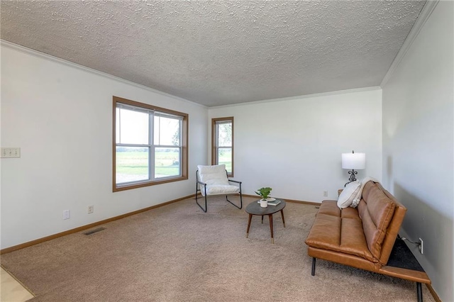 20911 S Staley Mound Rd, Pleasant Hill, MO 64080 - photo 10