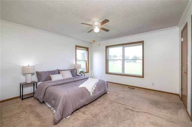 20911 S Staley Mound Rd, Pleasant Hill, MO 64080 - photo 22