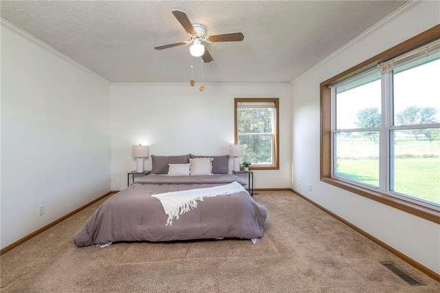 20911 S Staley Mound Rd, Pleasant Hill, MO 64080 - photo 23