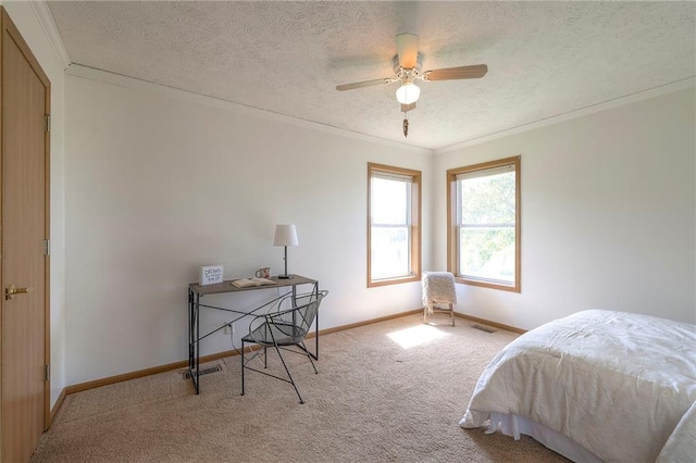 20911 S Staley Mound Rd, Pleasant Hill, MO 64080 - photo 27